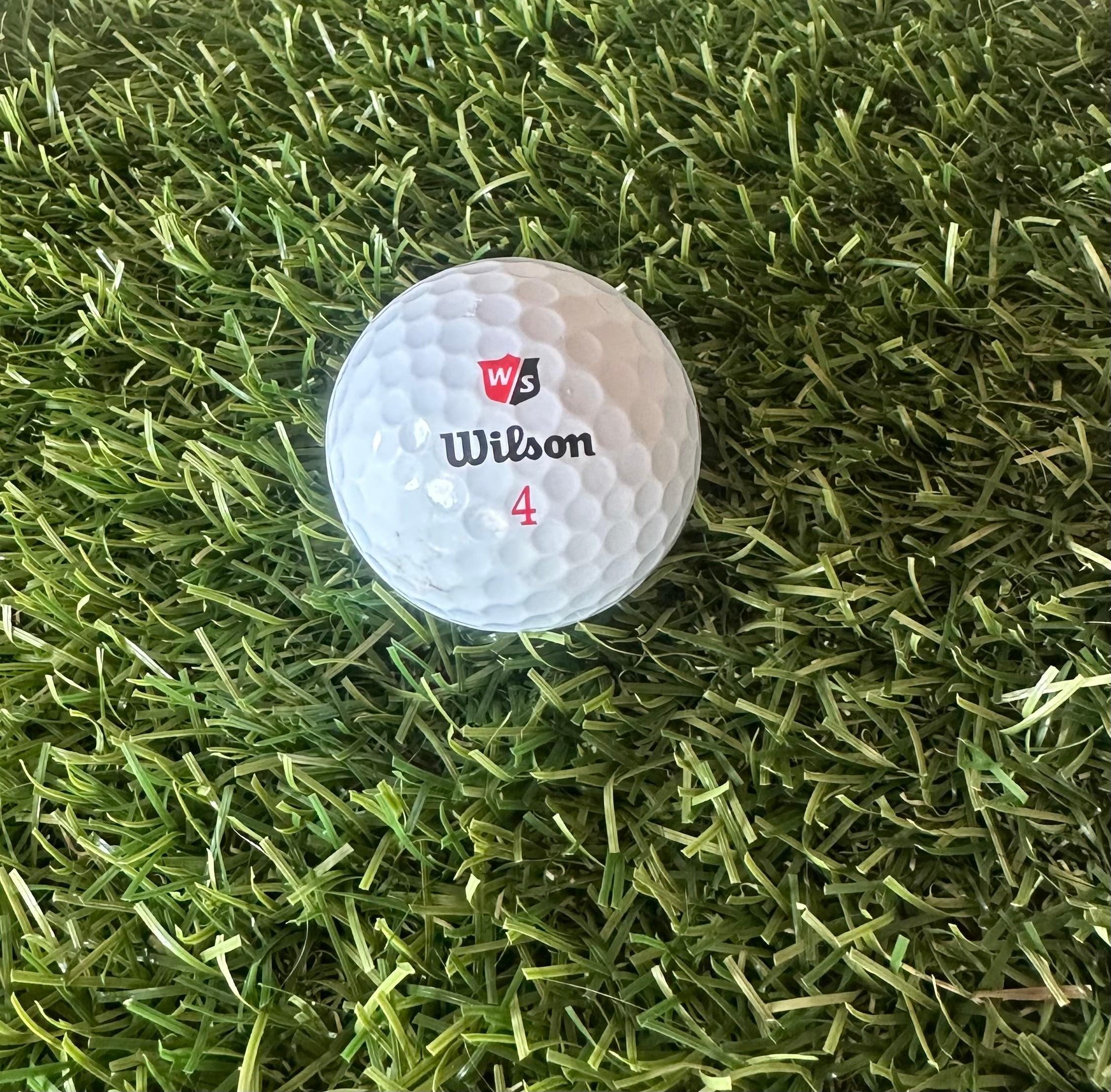 Wilson staff